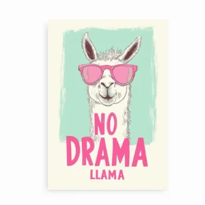 Plakat med “No Drama Llama” i pink og mint