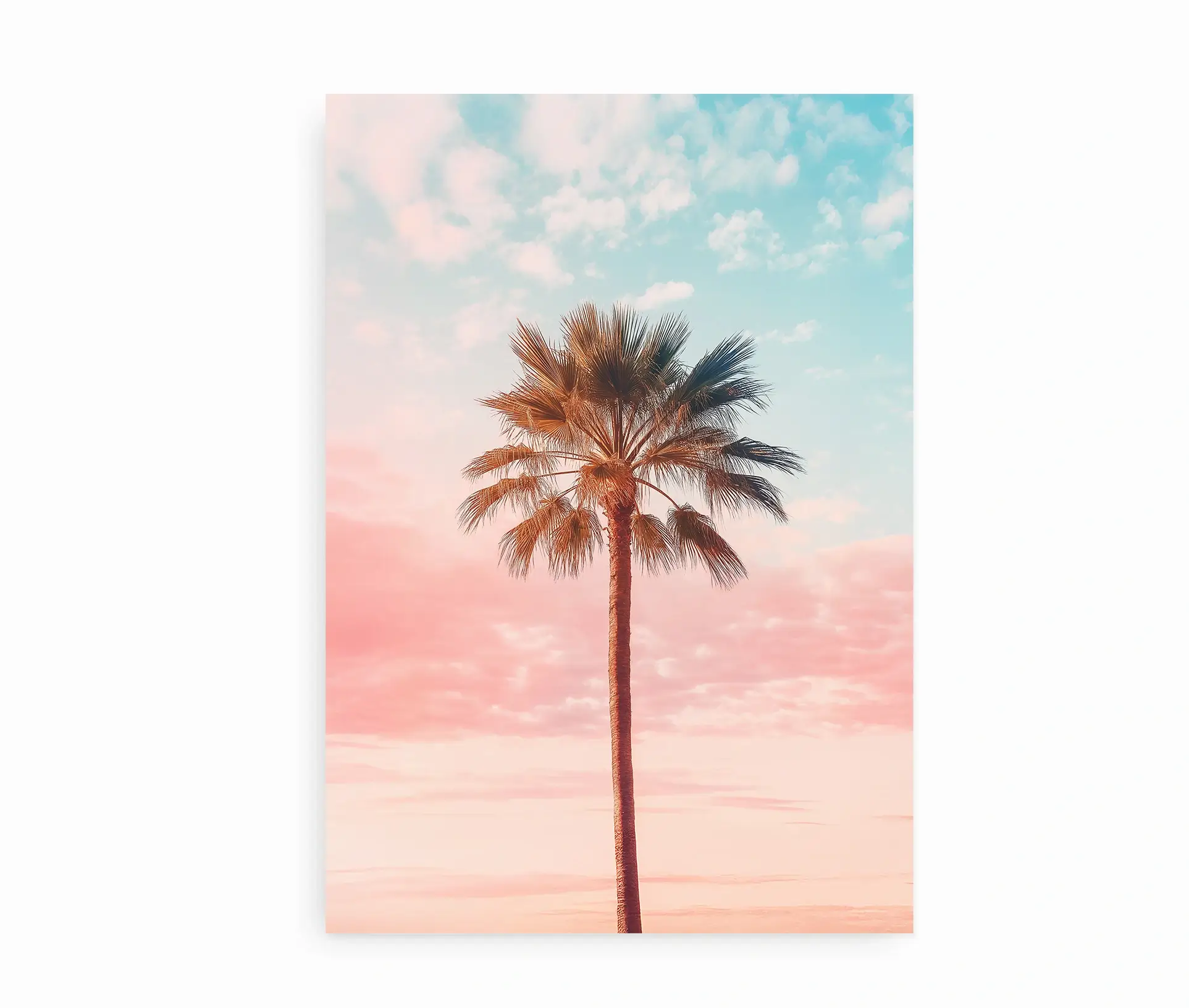 Plakat med palmetræ og farvet himmel på hvid baggrund