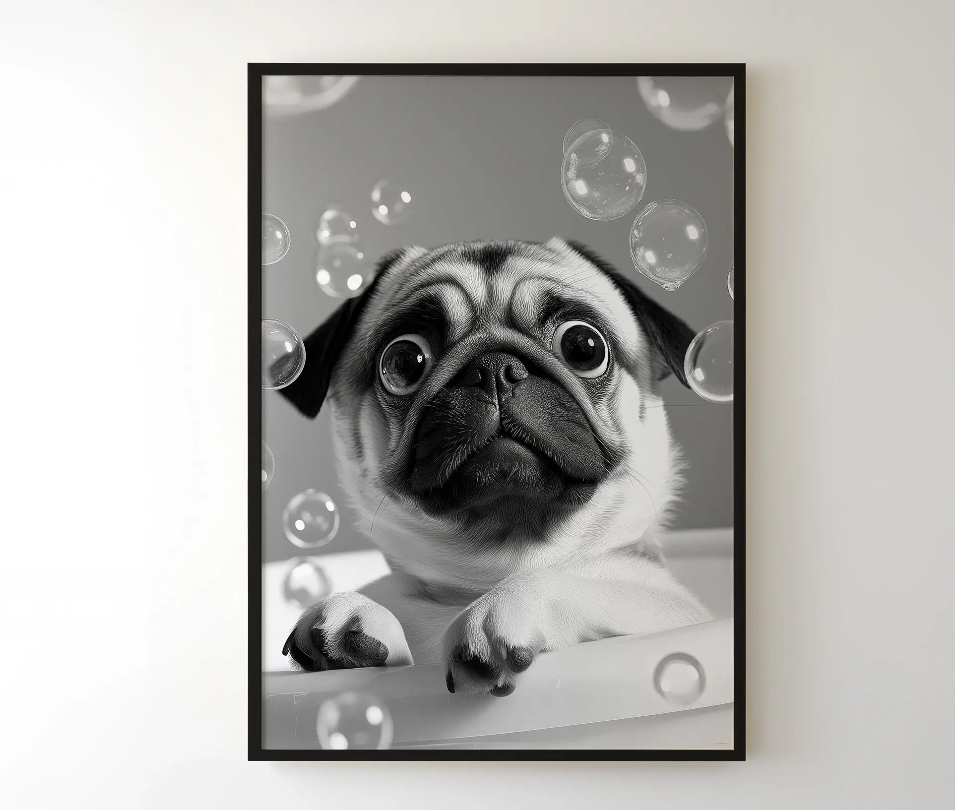 Sort-hvid plakat med mopshund og bobler i sort ramme
