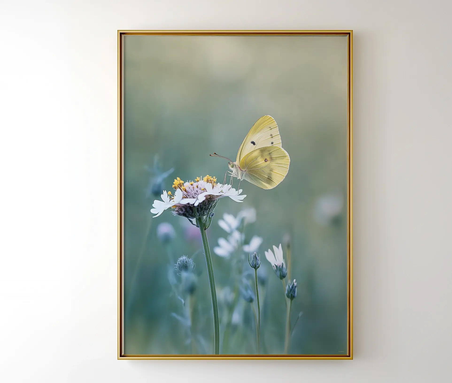 Gul sommerfugl på blomst – naturplakat i guldramme