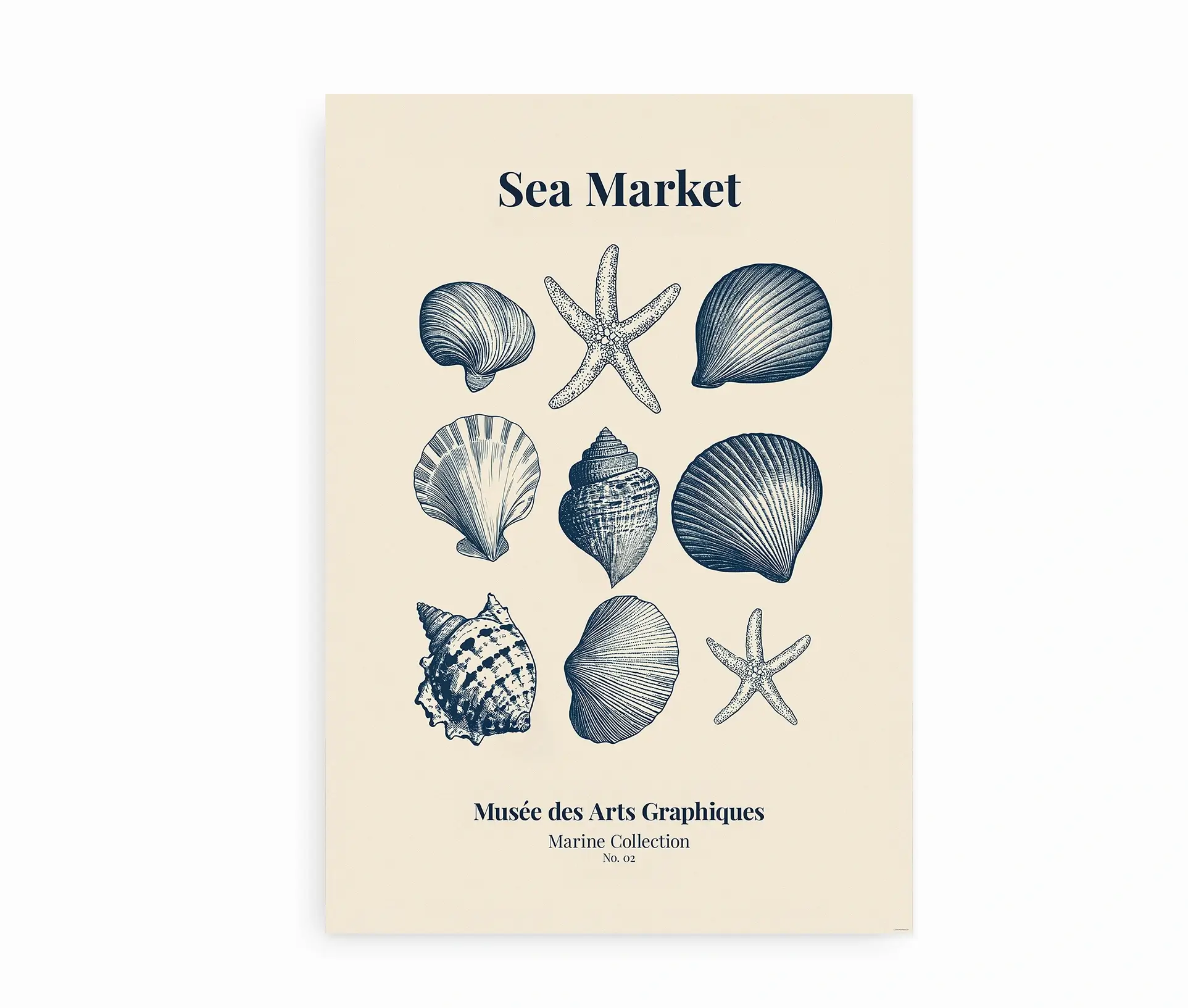 Plakat med illustration af muslingeskaller og søstjerner i vintage stil.