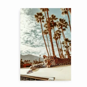 Plakat med leopard liggende på vintagebil og palmer i baggrunden