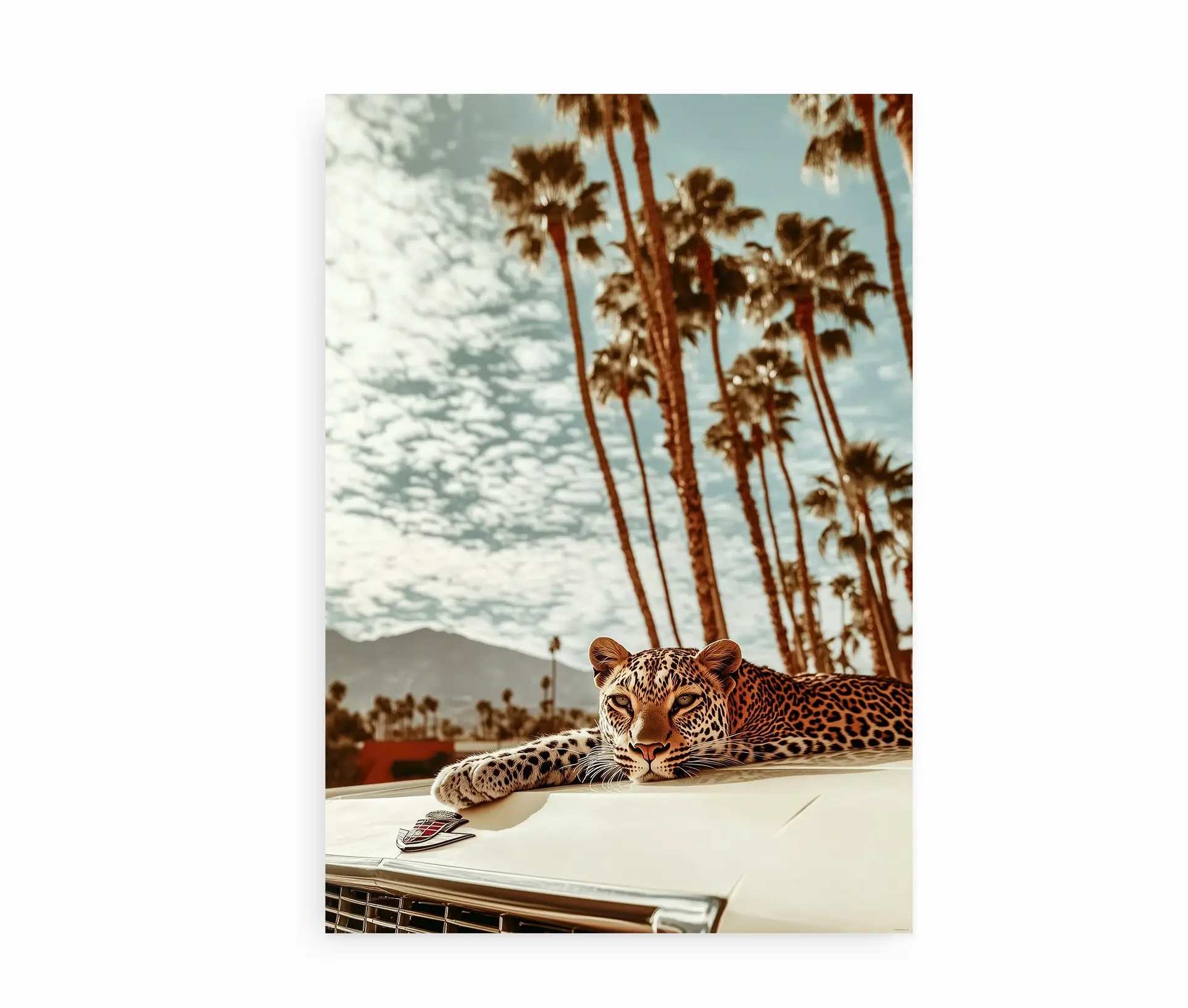 Plakat med leopard liggende på vintagebil og palmer i baggrunden
