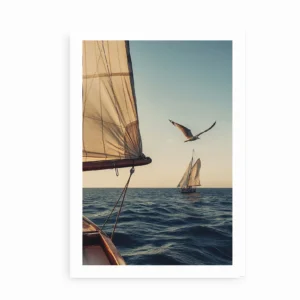 Plakat med sejlskibe og måge over havet i aftensol