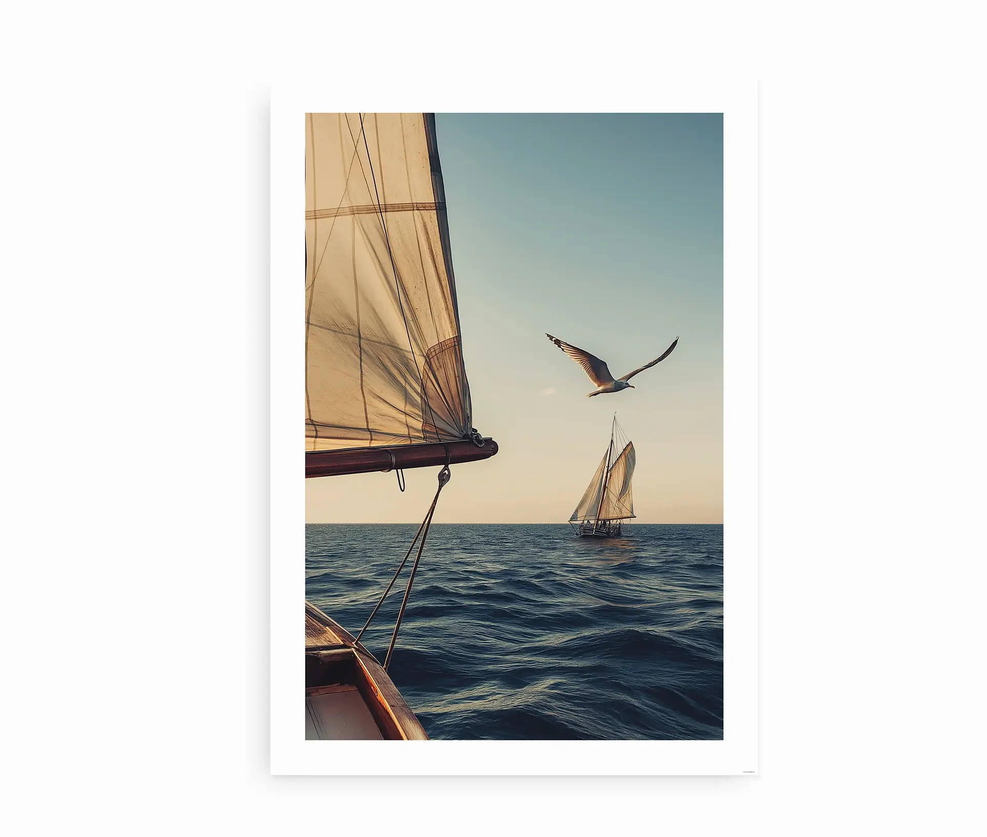 Plakat med sejlskibe og måge over havet i aftensol