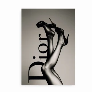 Dior plakat med elegante stiletter i sort-hvidt design