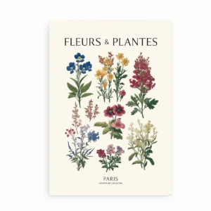 Botanisk plakat med blomsterillustrationer og teksten "Fleurs & Plantes"