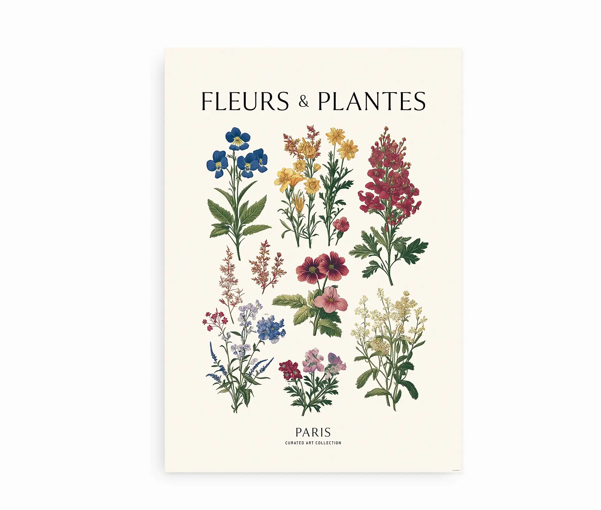 Botanisk plakat med blomsterillustrationer og teksten "Fleurs & Plantes"