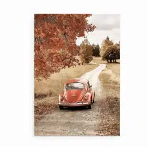 Fotoplakat med klassisk folkevogn i efterårslandskab.