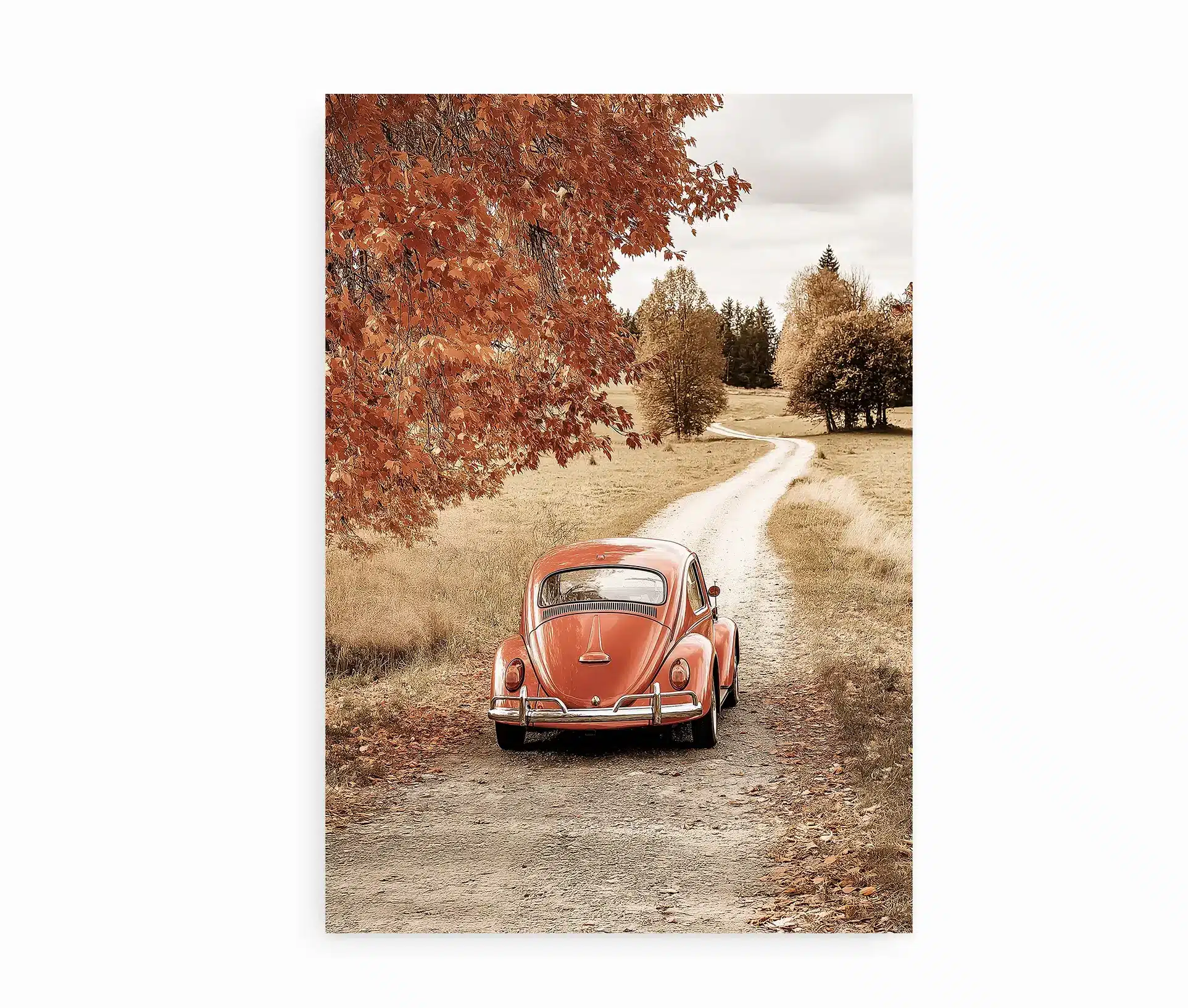 Fotoplakat med klassisk folkevogn i efterårslandskab.