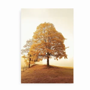 Fotoplakat med træ i efterårets varme farver.