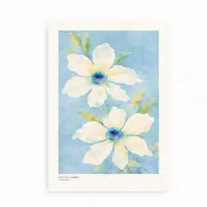 Drifting Flowers akvarelplakat med to hvide blomster på lyseblå baggrund