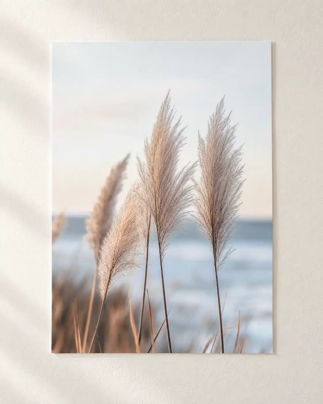 Naturplakat med pampasgræs ved stranden og hav i baggrunden